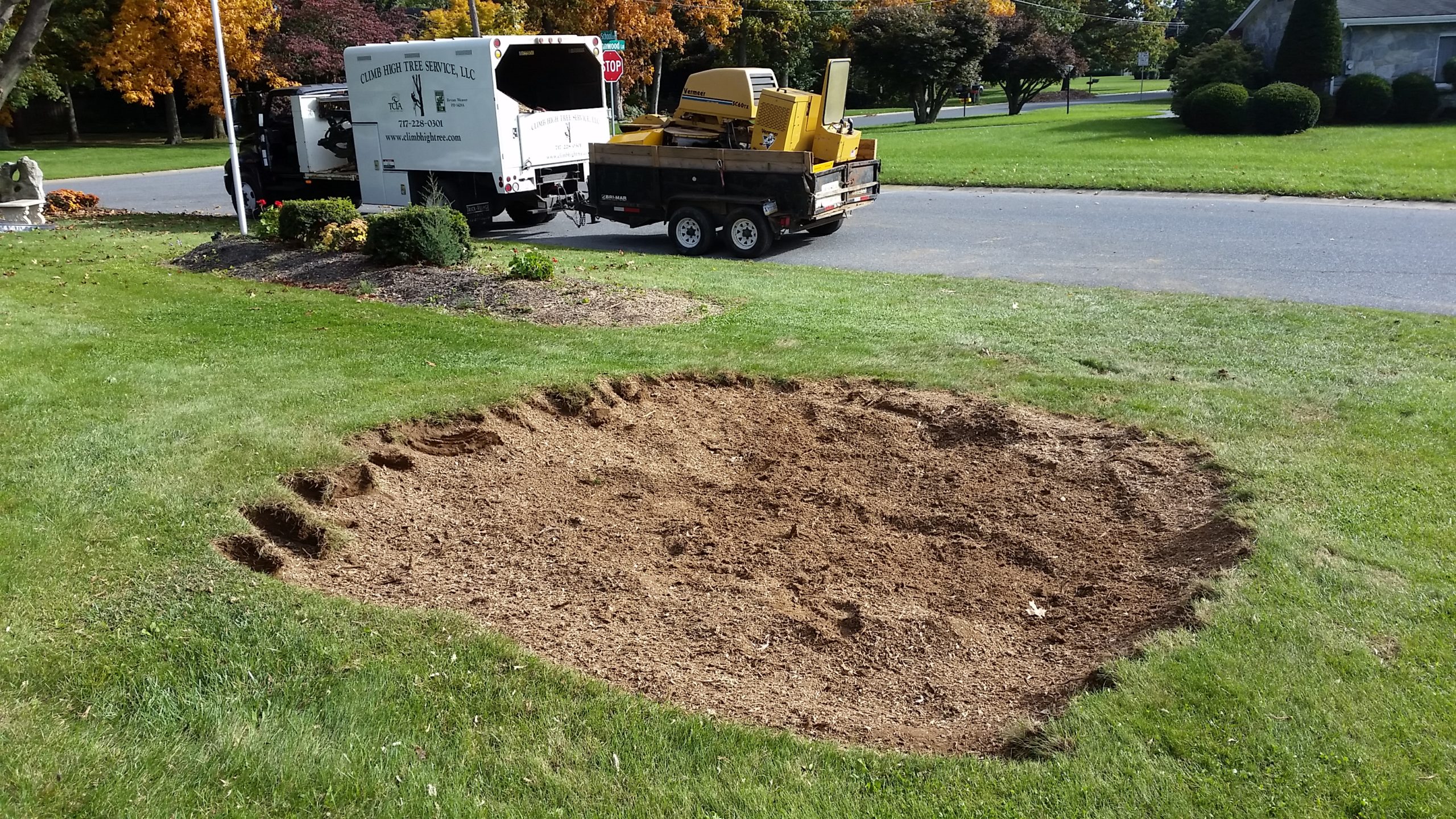 Stump Grinding (after)