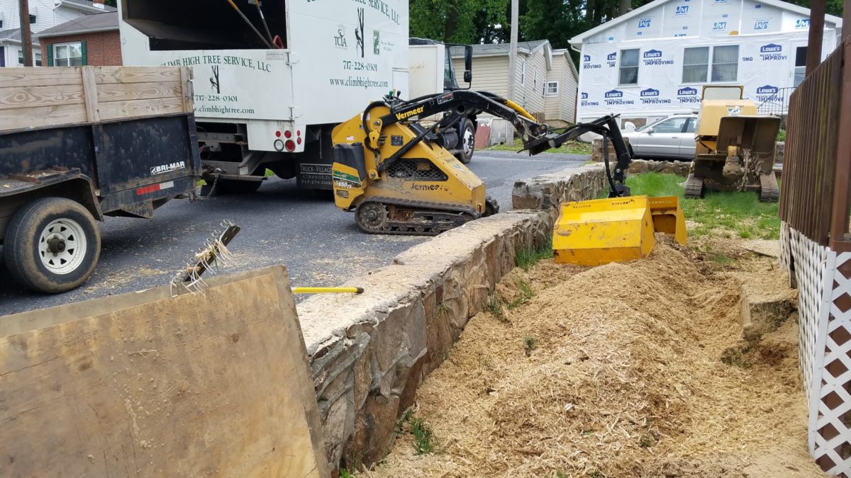 Stump Grinding (after)